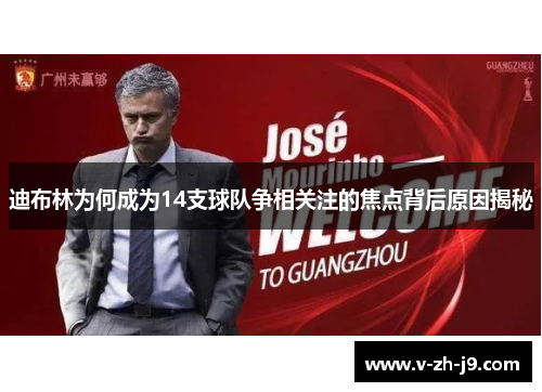 迪布林为何成为14支球队争相关注的焦点背后原因揭秘